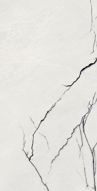 B&W Breach Naturale 12 x 24